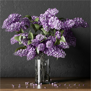 PLANT_004